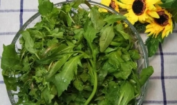 怎样做美味的荠菜煎蛋饼