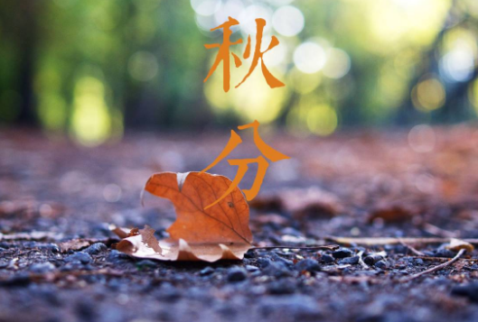 秋分是什么节气
