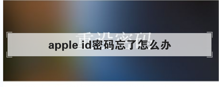 apple id密码忘了怎么办br