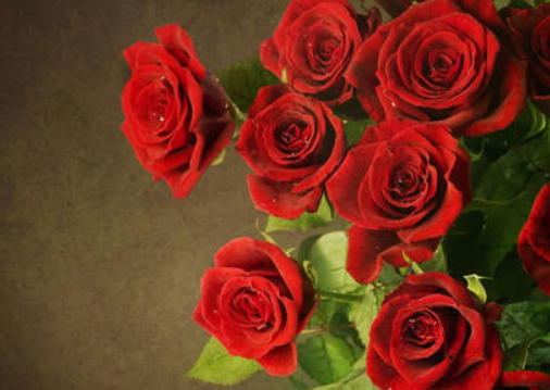 母亲节送花送什么花