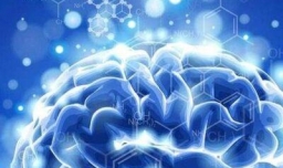 怎么开发左脑，左脑与右脑有什么区别