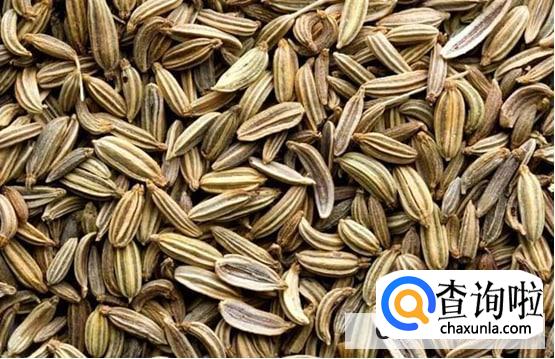 八角和茴香的功效作用