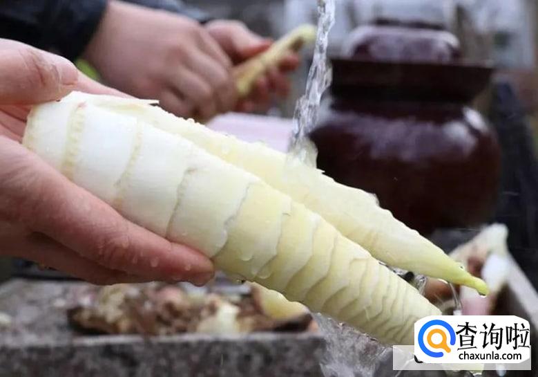竹笋挖回来怎么处理才能吃的放心