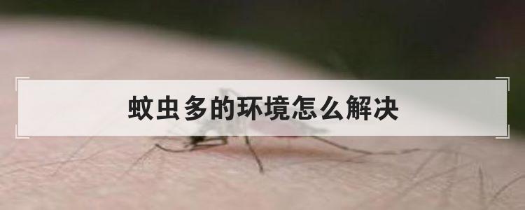 蚊虫多的环境怎么解决