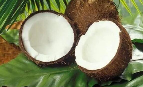 黑皮椰子怎么打开