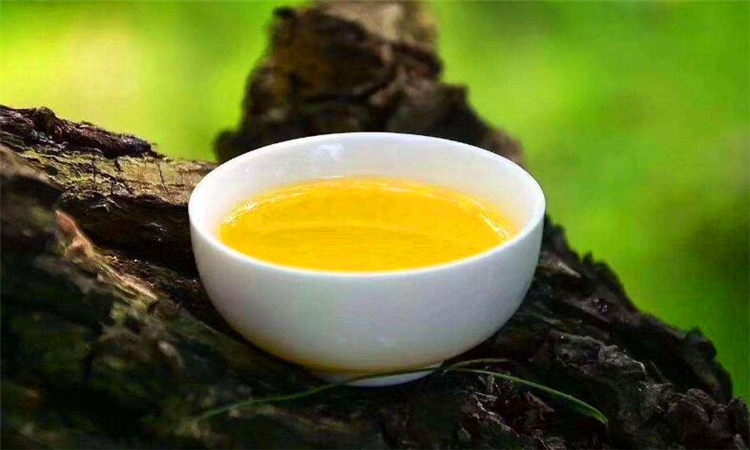 茶油是什么