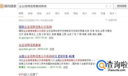 企业信用信息查询系统