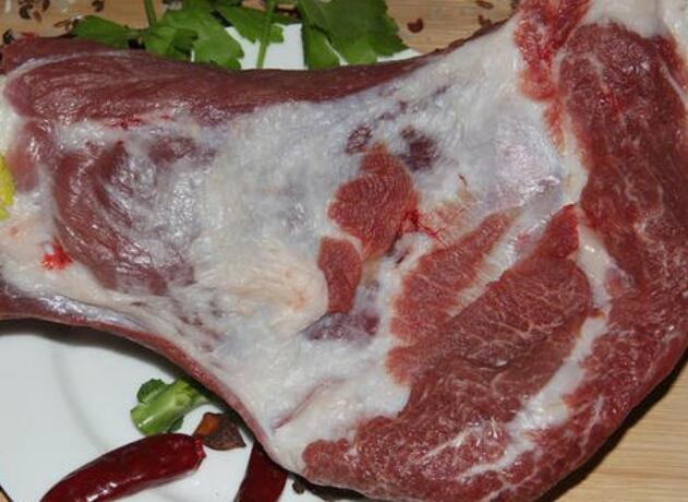 筒子骨前腿和后腿区别