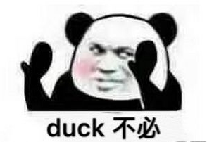 duck是什么意思