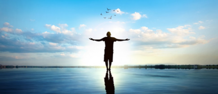 功夫不负有心人的意思是什么