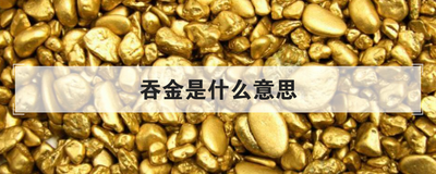 吞金是什么意思