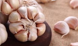 幽门螺杆菌最怕的食物是什么？