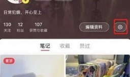 小红书页面布局怎样设置