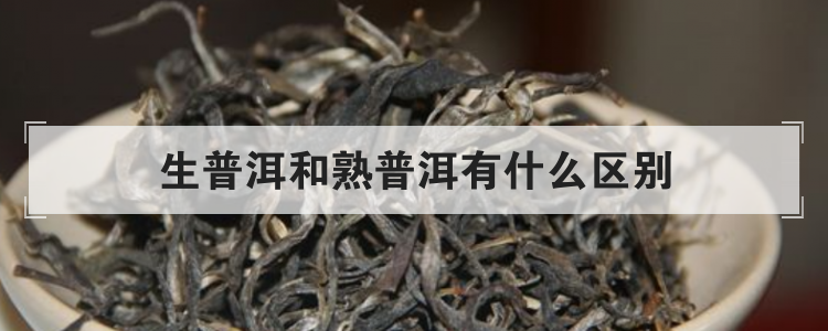 生普洱和熟普洱有什么区别