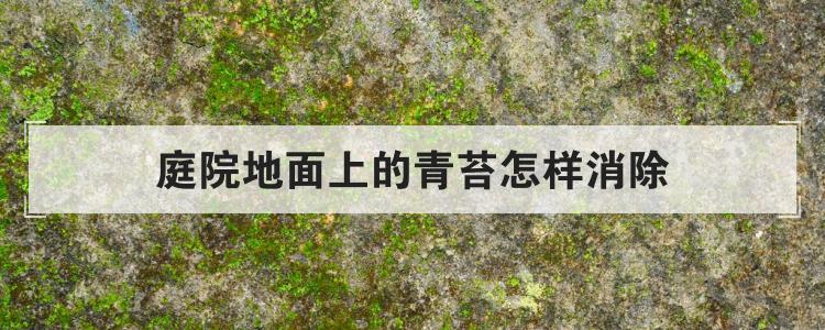 庭院地面上的青苔怎样消除