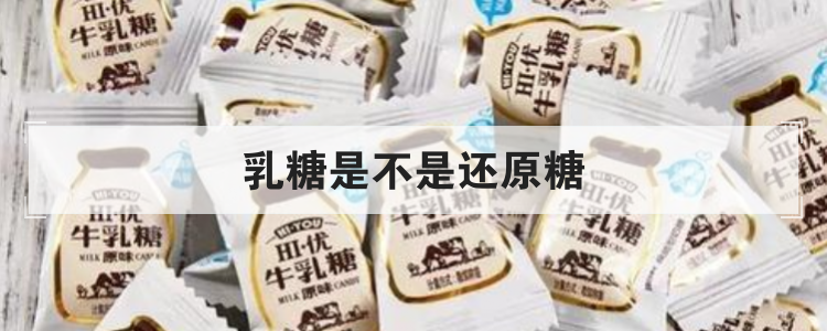 乳糖是不是还原糖