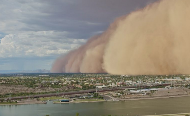 沙尘暴常出现在什么季节
