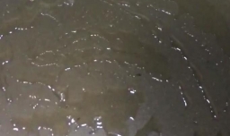 如何处理多余的饺子皮