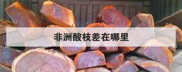 非洲酸枝差在哪里