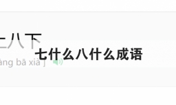 七什么八什么成语