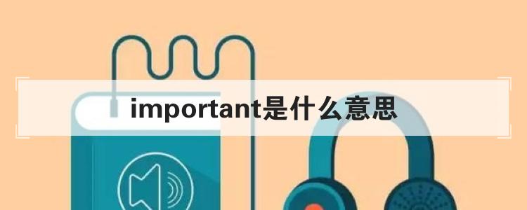 important是什么意思