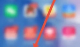 如何使用1药城APP查看退换货规则？