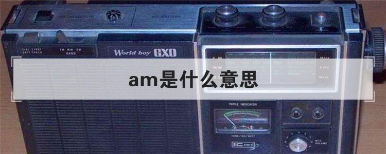 am是什么意思