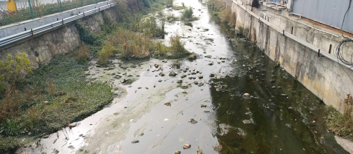 长江泄洪区在哪里