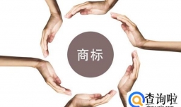 个人直接到商标局办理商标注册需要哪些材料？