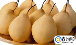 怎样自制雪梨膏