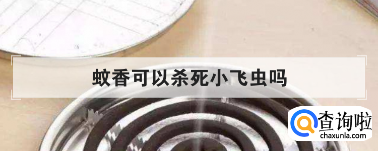 蚊香可以杀死小飞虫吗