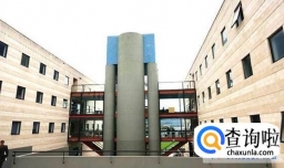 迪肯大学国际会计专业和新南威尔士大学管理会计（商学）专业哪个好？