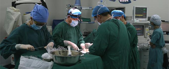 器官移植为什么都用猪的