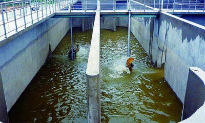 城市污水都排到哪里了