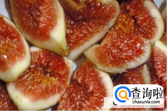 无花果有虫子怎么办