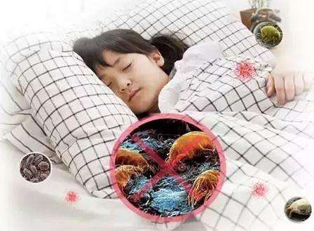 如何分辨床上是否有螨虫