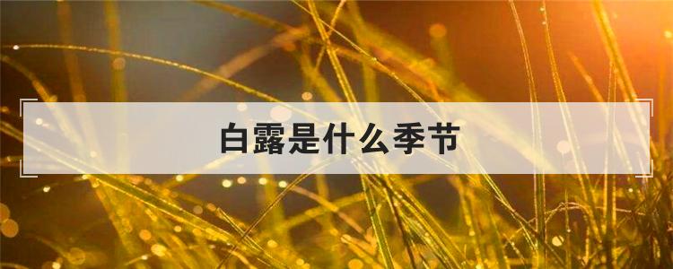 白露是什么季节
