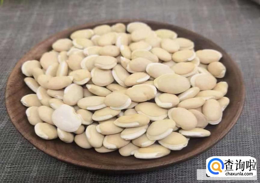 除湿应该吃什么