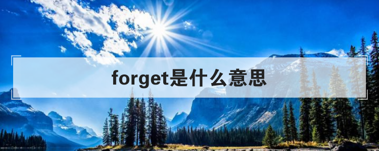 forget是什么意思