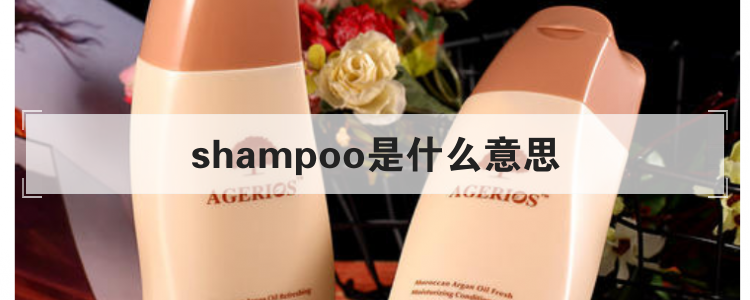 shampoo是什么意思