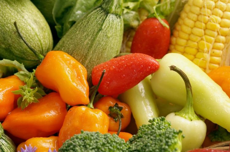 绿色食品指什么食品