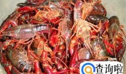 最简单清蒸做龙虾方法