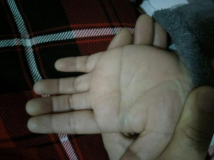 断掌是什么意思