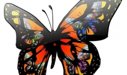 什么是蝴蝶效应？怎样正确解读蝴蝶效应？