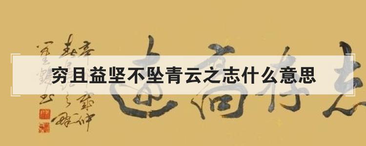 穷且益坚不坠青云之志什么意思