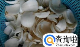 新鲜百合怎么保存