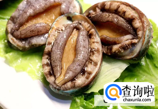 食用鲍鱼有哪些禁忌