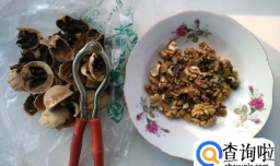 怎么自己做健康的核桃花生饮品