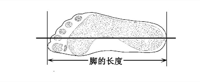 英尺为什么写作foot脚