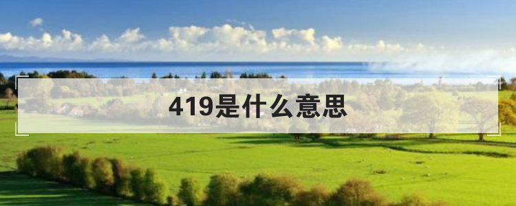 419是什么意思